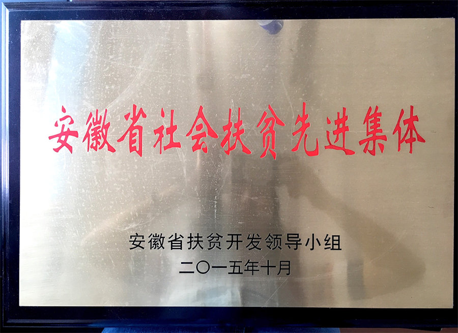 安徽省社会扶贫先进集体