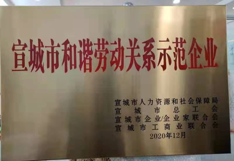 宣城市和谐劳动关系示范企业