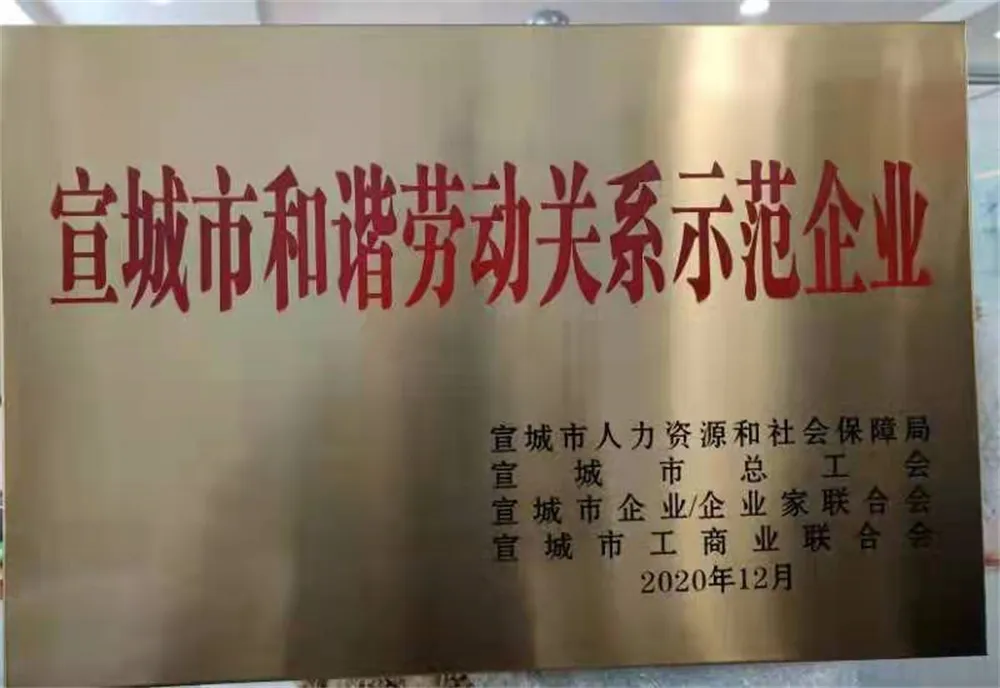 2020年宣城市和谐劳动关系示范企业
